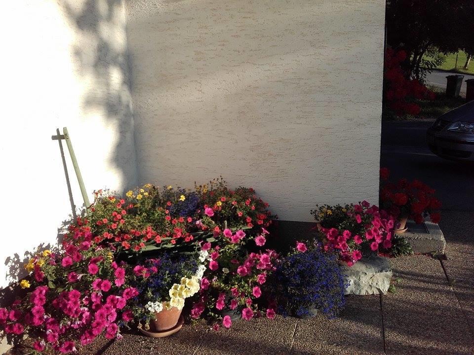Strasser Apartment Ramsau am Dachstein